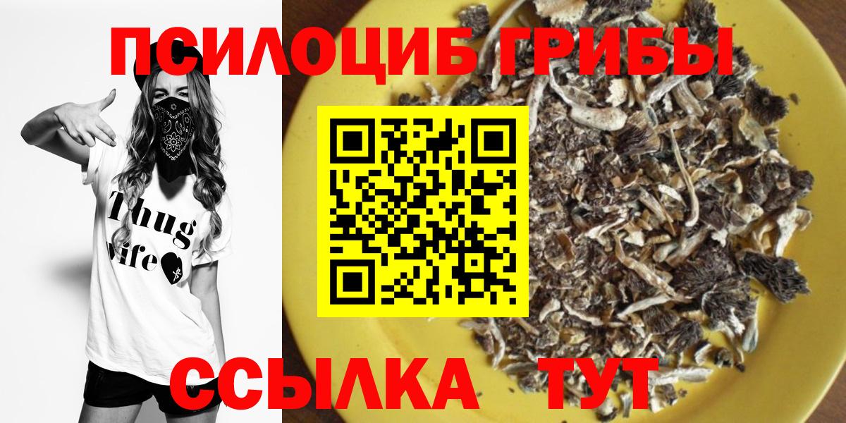 Звенигород  Галлюциногенные грибы Psilocybine cubensis  Вход с VPN 